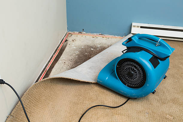 Professional Water damage restoration in Elmwood Place, OH